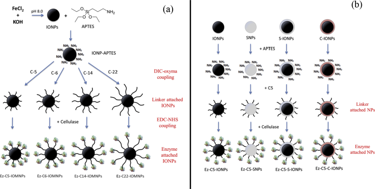 Fig. 1