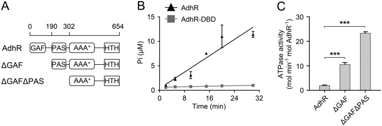 FIG 1