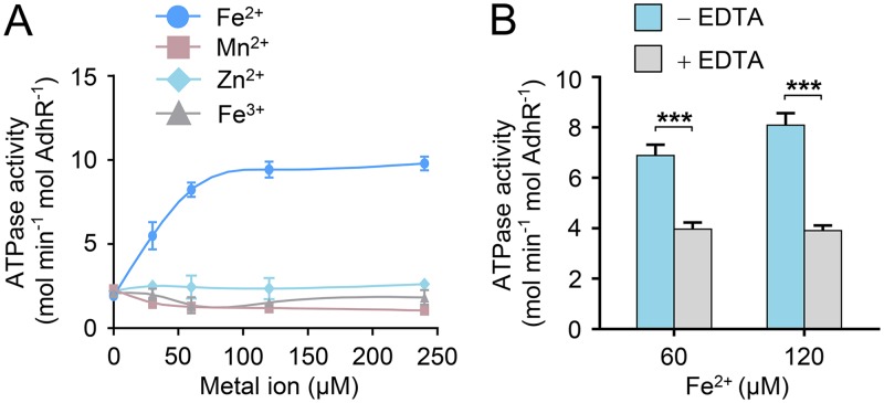 FIG 2