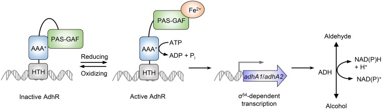 FIG 7