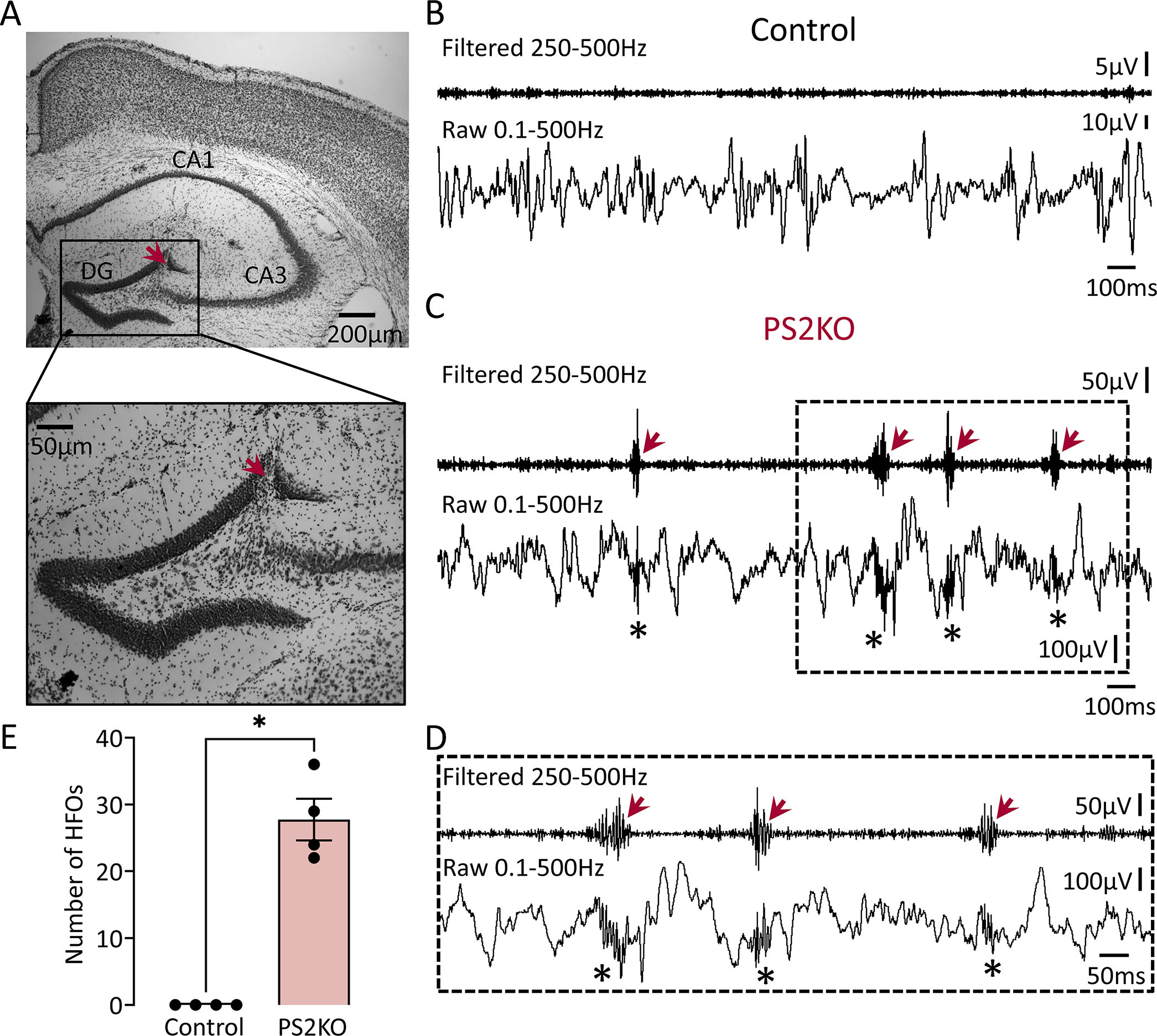 Figure 2: