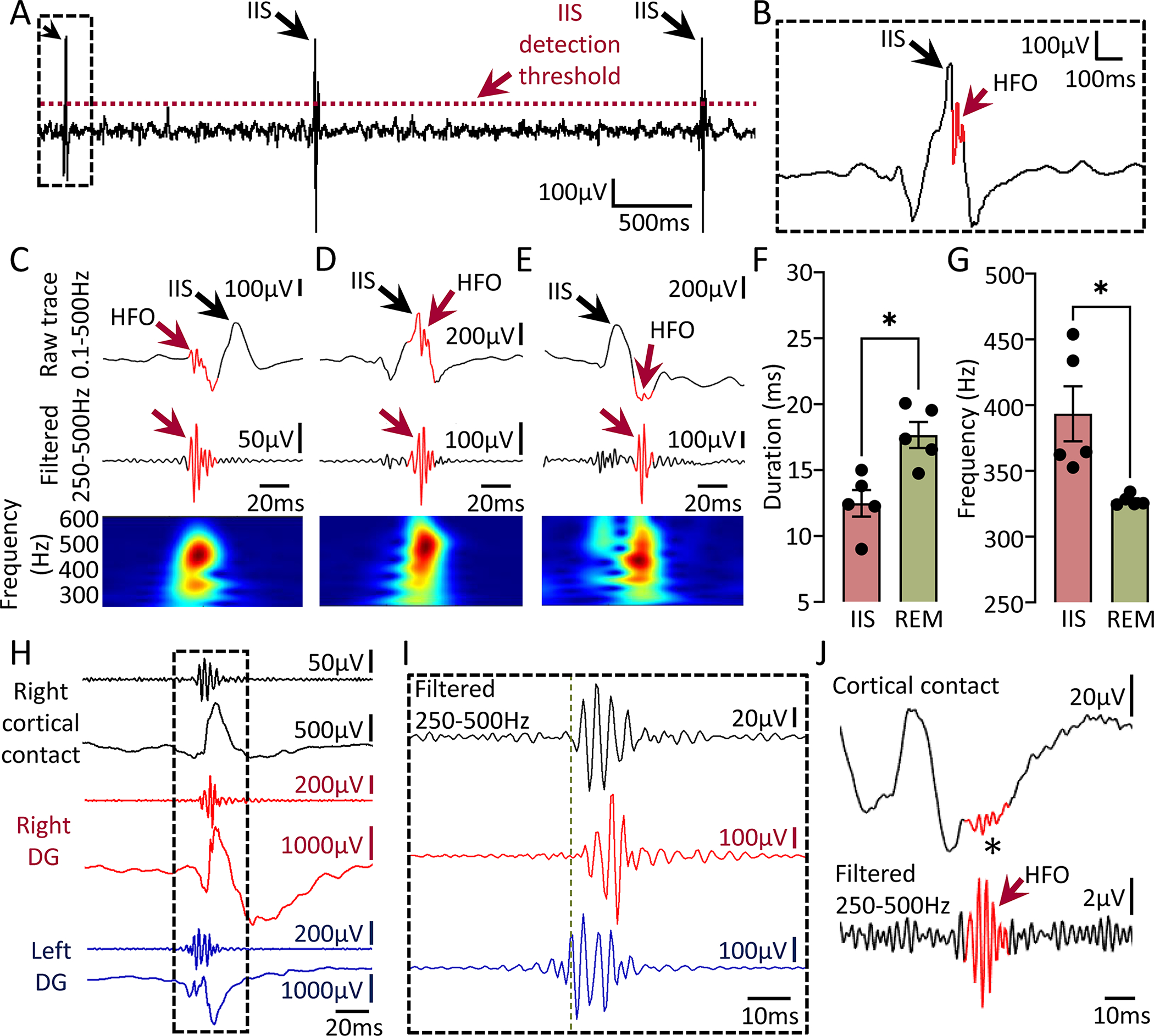 Figure 7: