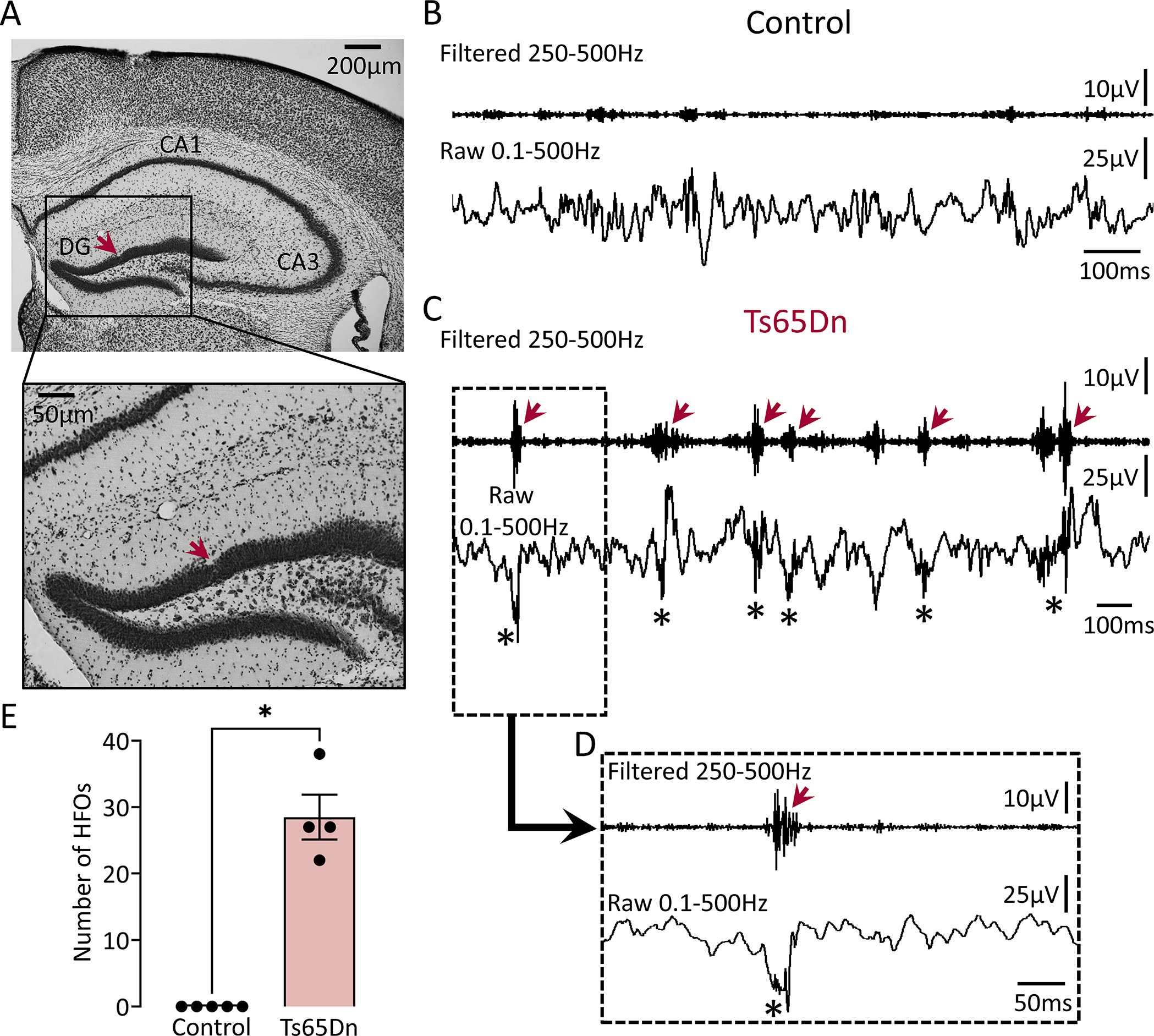 Figure 3: