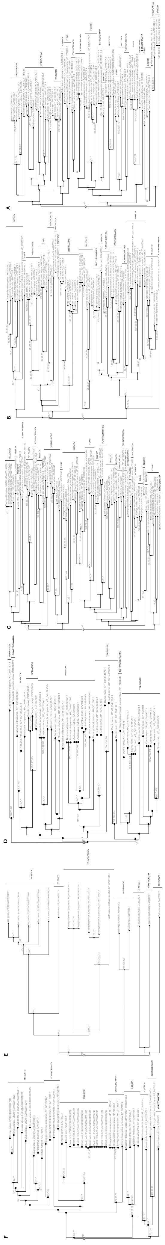 Fig. (1)