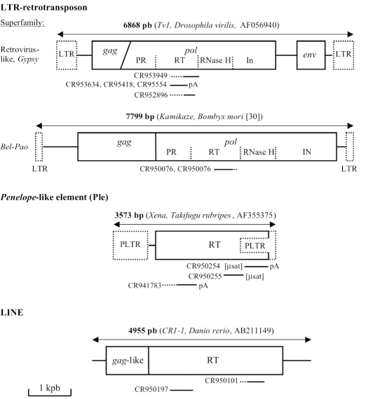 Fig. (3)