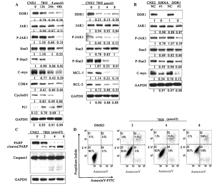 Figure 2.