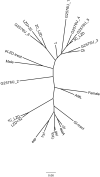 Fig 4