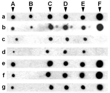 FIG. 9.