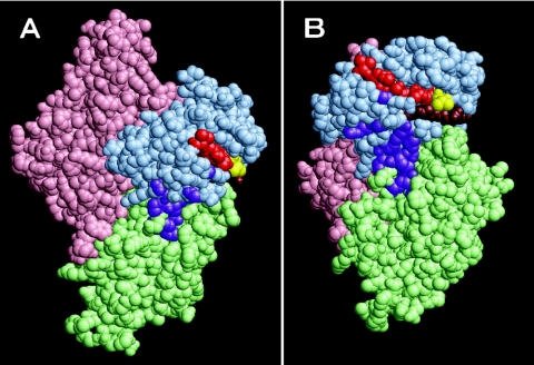 FIG. 10.