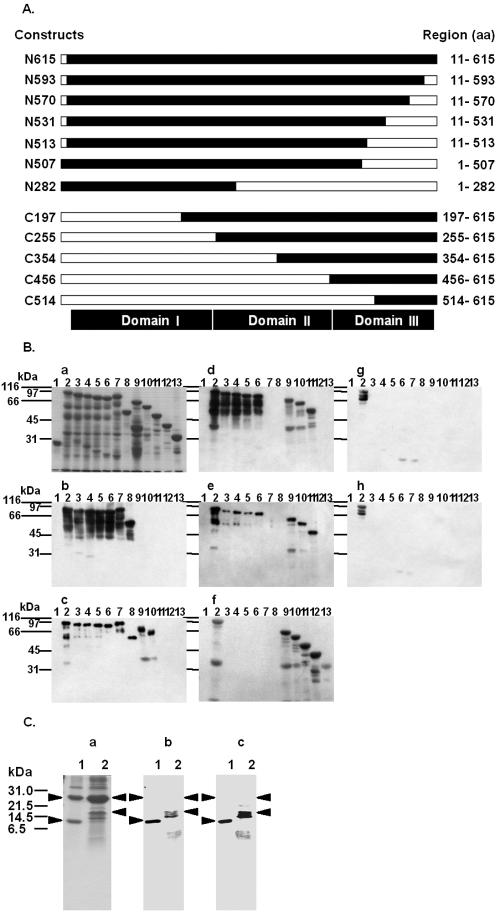 FIG. 5.