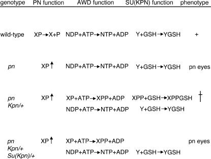 Figure 9.