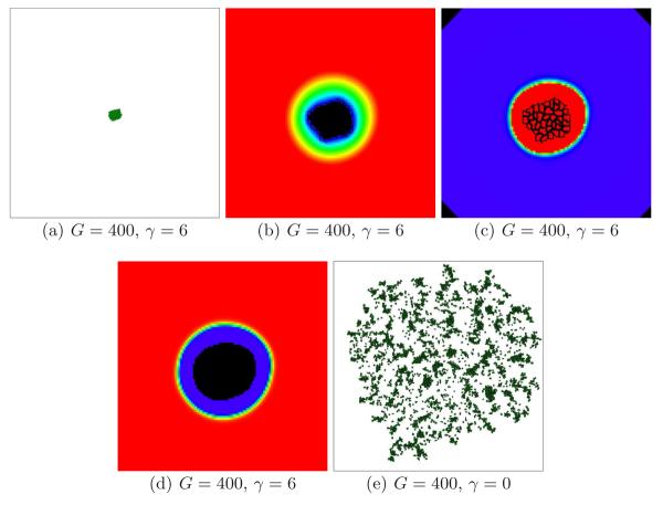 Fig. 16