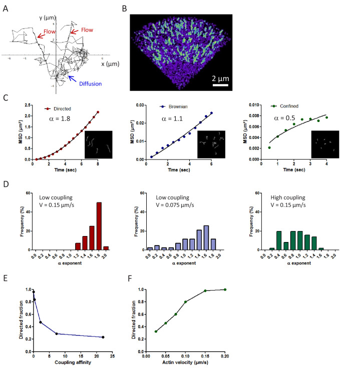 Figure 4—figure supplement 2.