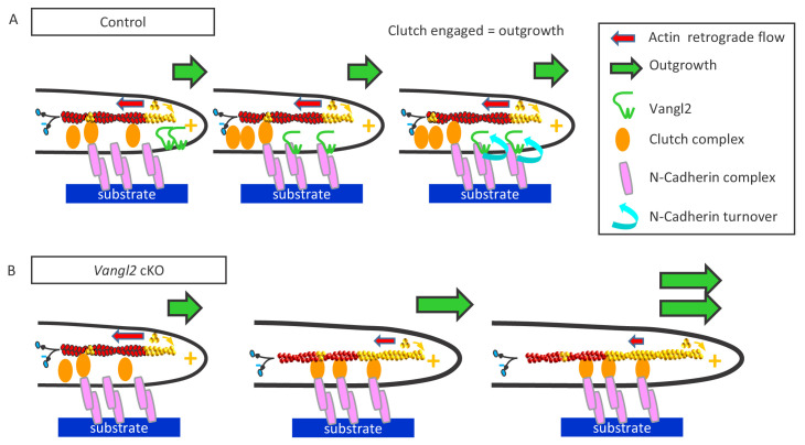 Figure 9.