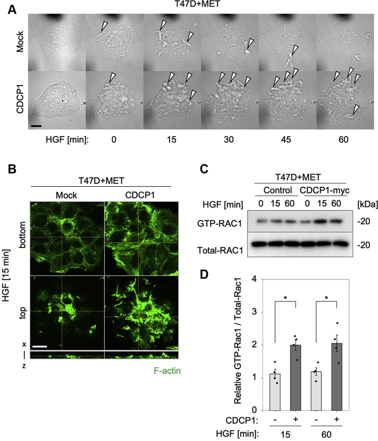 Figure 4