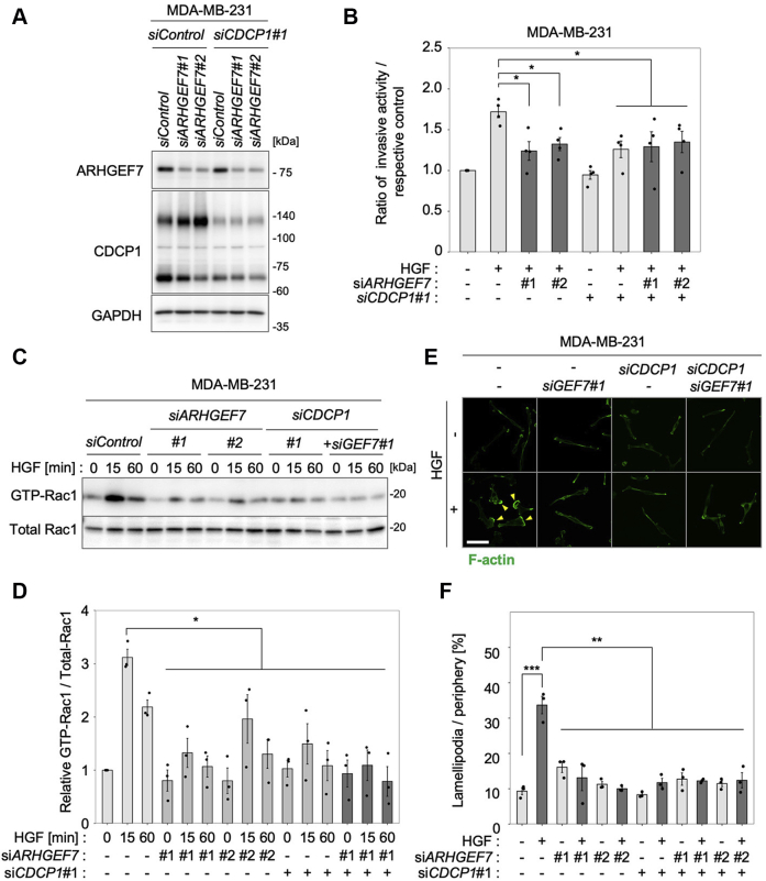 Figure 6