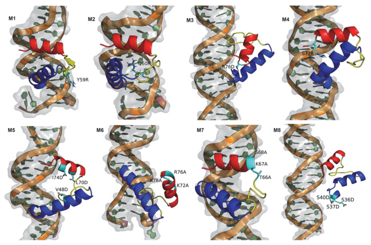 Figure 7