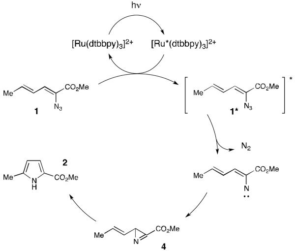 Scheme 3