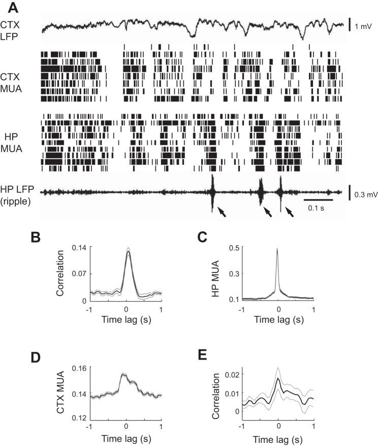 Fig. 8.