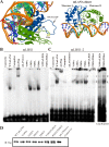 FIG 1