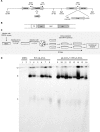 FIG 10