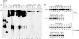 FIG 2