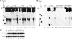 FIG 7