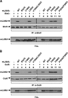 FIG 6