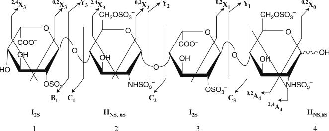 Fig. 5