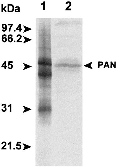 FIG. 5