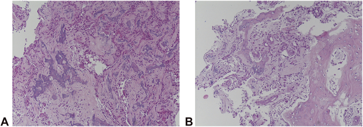 Figure 6