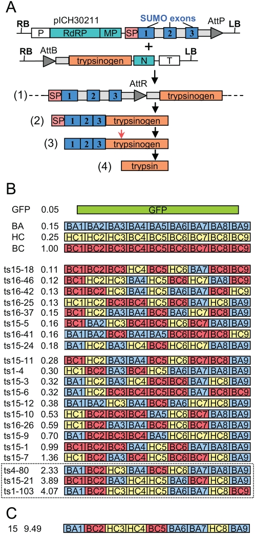 Figure 6