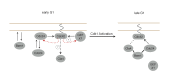Figure 10.