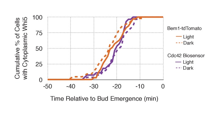 Figure 5—figure supplement 1.