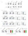 Figure 4—figure supplement 2.
