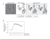 Figure 1—figure supplement 2.