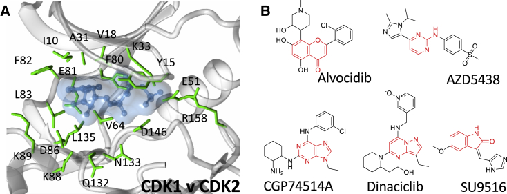 Figure 1