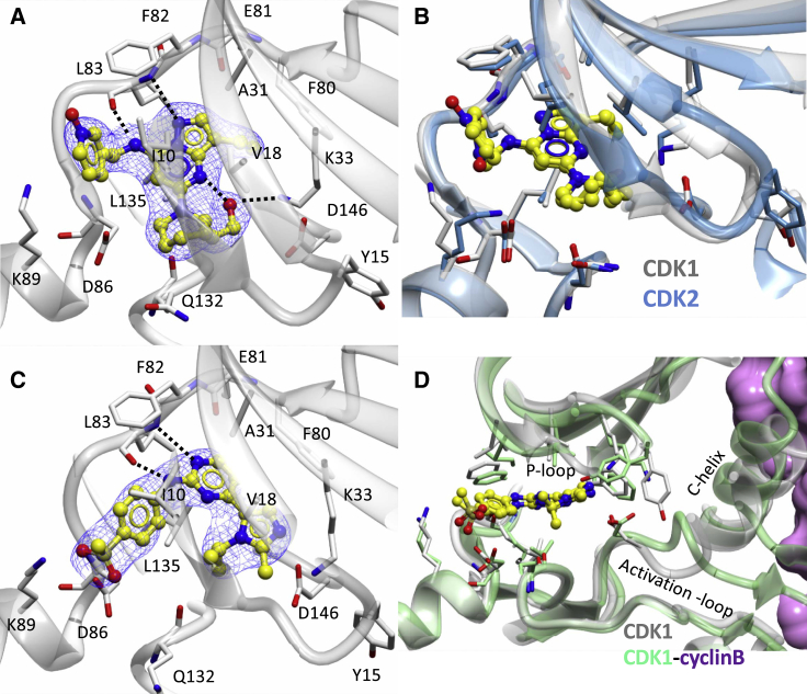 Figure 4