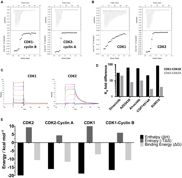 Figure 2