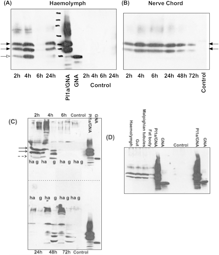 Fig. 4