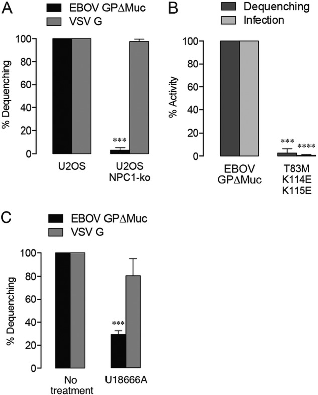 FIG 4 