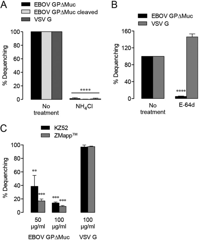 FIG 3 