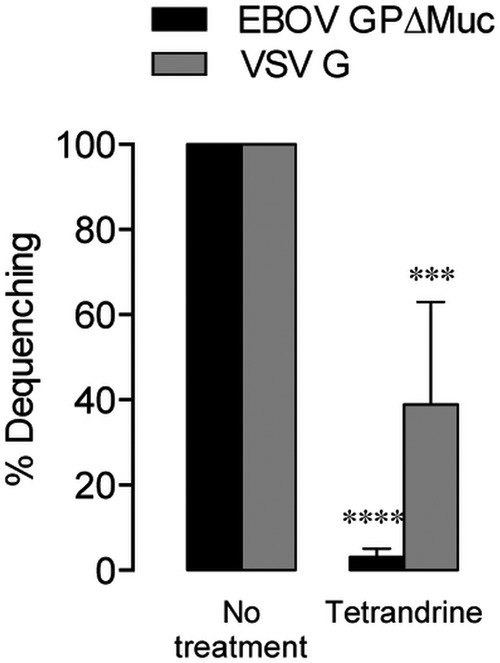 FIG 6 