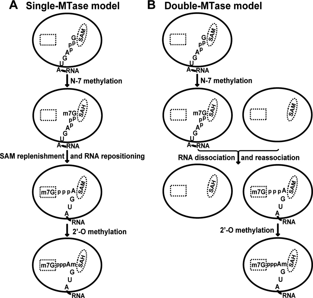 FIG. 4