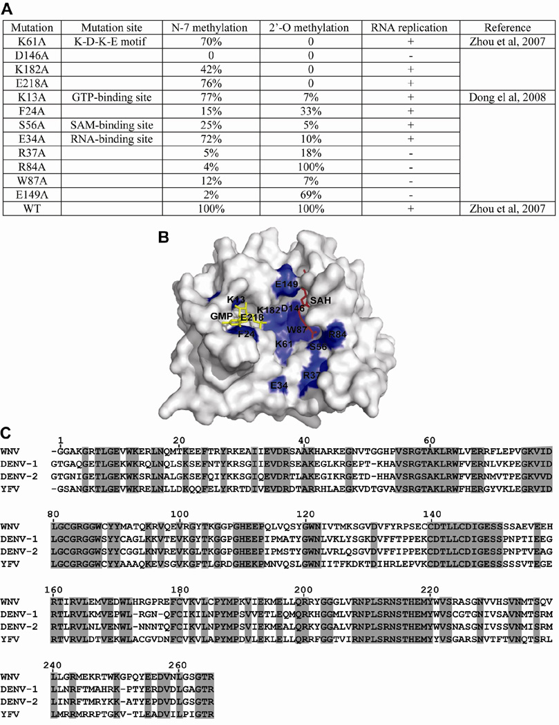 FIG. 5