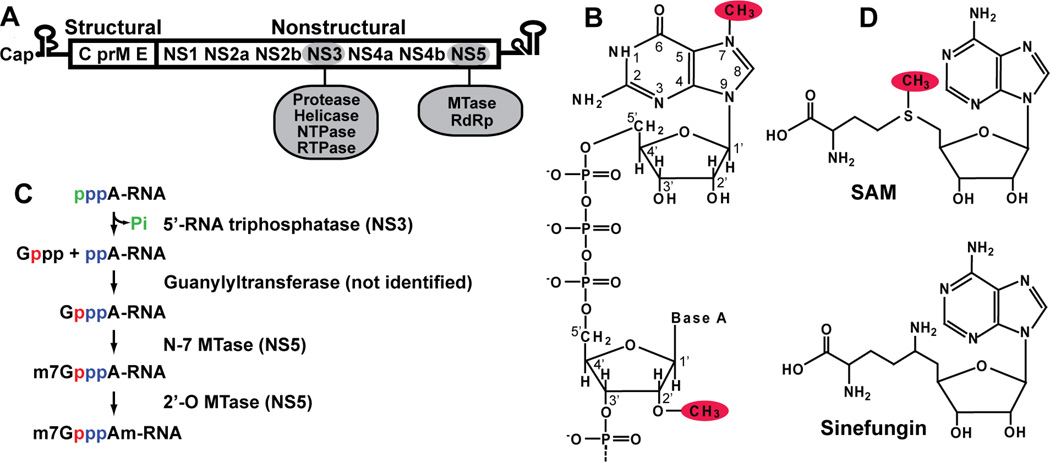 FIG. 1