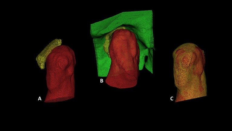 Fig 7
