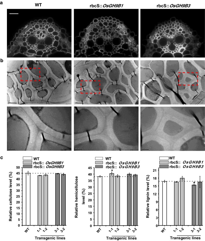 Fig. 6