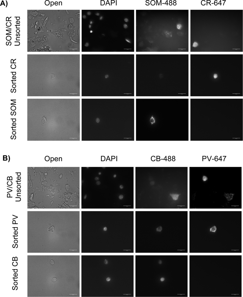 Figure 4: