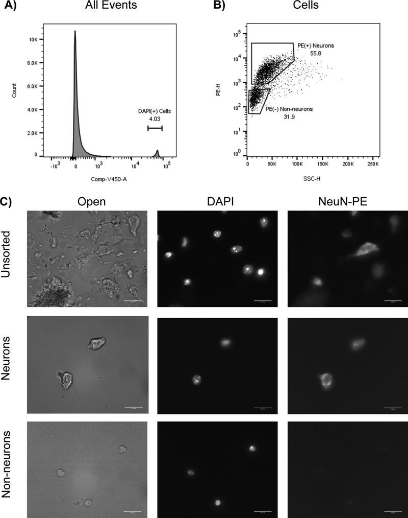 Figure 6: